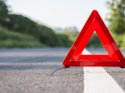 В Токарёвском районе стоящий на обочине грузовик смял «девятку»