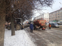 В Тамбов пришла зима, но снега в ближайшие дни не будет