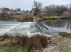 В Тамбове снова разберут временную плотину в Пригородном лесу