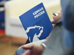 Министр проиграла, вице-губернатор уступила главврачу: кто из больших начальников не показал результатов на праймериз ЕР