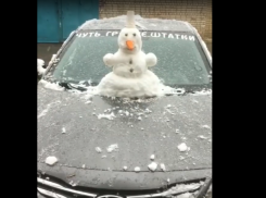 Жители Тамбова лепят первых снеговиков