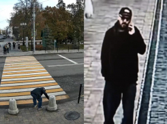 Вандала со свежеотремонтированного тамбовского Арбата разыскивает полиция 