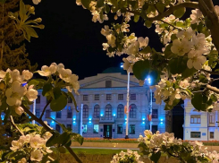 По итогам весны Тамбовская область заняла первое место в топе экологического рейтинга