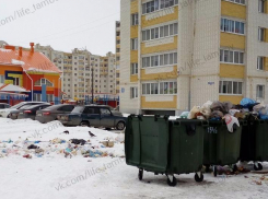 «Две хозяйки на одной кухне»: проблемы контейнерных площадок с двумя мусорными операторами «допекли» тамбовчан