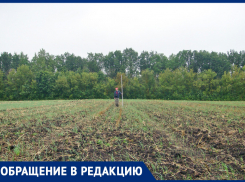 Предложения археолога наткнулись на стену непонимания тамбовских чиновников. Обращение в редакцию