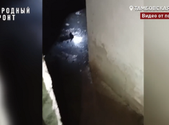 Жители дома на Киквидзе третью неделю задыхаются из-за разлива канализации в подвале