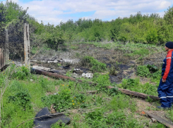 Безработный тамбовчанин снял два километра электропроводов с обесточенной резервной линии электропередач