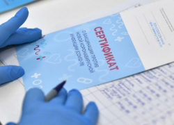 Врач выписал фиктивную справку о вакцинации педагогу из Тамбова