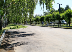 На бульваре Энтузиастов посадят деревья и установят клумбы