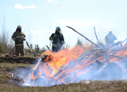 За сутки в области произошло 68 пожаров 