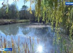 Пруд в районе Ахлебиновской рощи отравлен марганцем