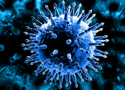 В Тамбовской области увеличивается количество заболевших коронавирусом