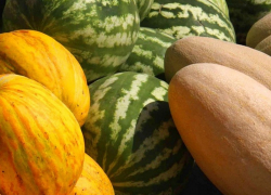 В Тамбове определили 14 бахчевых развалов, где можно купить арбузы и дыни