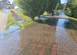 Из-за аварии на коллекторе не рекомендуется купаться в черте города