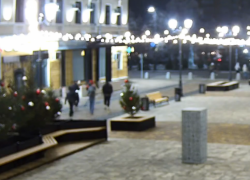 В Тамбове задержали любителей бить новогодние игрушки 