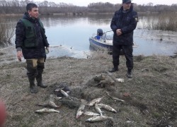 За лишние килограммы улова будут штрафовать