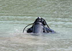 В Тамбовской области из реки Цны достали тело рыбака