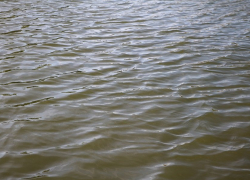 На «Атмановском» пруду утонул мужчина