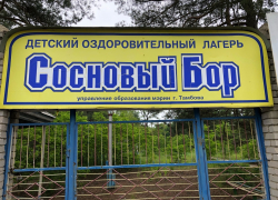 Оздоровительный детский лагерь «Сосновый бор» планируют реконструировать