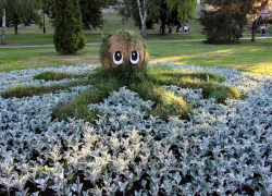 Весна близко: дизайнеры Зеленхоза в Тамбове готовятся к украшению клумб