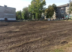 Вопреки обещаниям властей, в сквере на Полынковской спилили все деревья