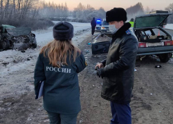 В Тамбовской области в ДТП погибли мать и 4-летний ребёнок