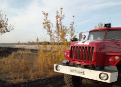 В Мучкапском районе поймали с поличным поджигателя травы
