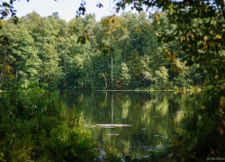 Тамбовскую экотропу к Святовскому озеру презентуют лесным забегом