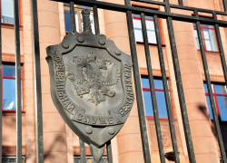 Мичуринского учёного, подозреваемого в мошенничестве, отправили в СИЗО