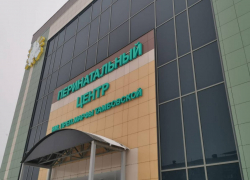 В новогоднюю ночь в Тамбовской области родились 20 детей