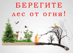 В регионе установлен 4 класс пожарной опасности лесов