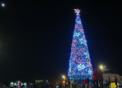 10 декабря на самой большой ёлке в Тамбовской области зажгутся новогодние огни