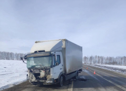 В Тамбовском районе случилось ДТП, в котором погибла женщина
