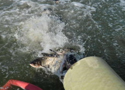 Тамбовчанин выплатит штраф в 144 тысячи за незаконную плотину