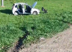 По дороге из Тамбова в Котовск столкнулись две «Лады», пострадал ребёнок