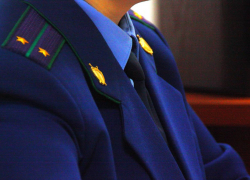 Ещё один замглавы Мичуринска попал в поле зрения правоохранительных органов 