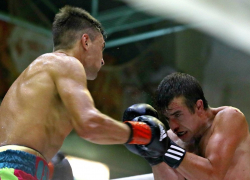 Бойцовское шоу на глазах первых лиц области впервые прошло в Мичуринске 