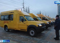 Больницы и школы Тамбовской области получили 62 единицы нового транспорта