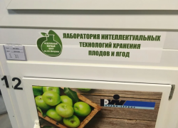 В Мичуринске начало работать “фруктохранилище будущего”