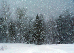 Региональное МЧС предупреждает тамбовчан о метели, гололедице и ветре до 20 м/с