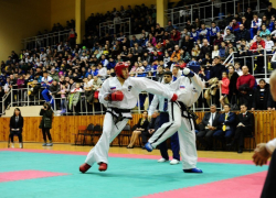 В Тамбове с успехом прошли чемпионат и первенство России по тхэквондо