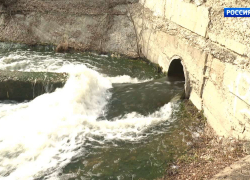 Тамбовские дачники боятся поливать огороды водой из Цны