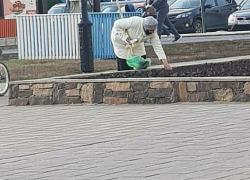 Клумбу перед "Кристаллом" снова обворовали