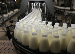 Племзавод «Комсомолец» оштрафовали на 50 тысяч рублей