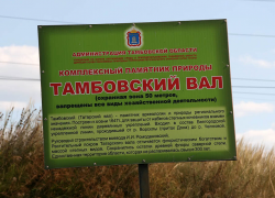 Тамбовчан попросили не заниматься вандализмом на Полынковском кладбище