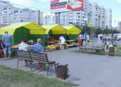 Тамбовчане выступают против микрорынка в районе Чичерина