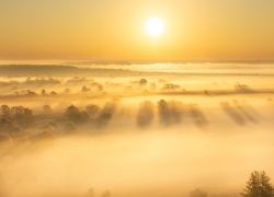 Журнал National Geographic опубликовал снимок тамбовского фотографа