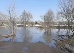 Из-за подъёма воды в Кашме временно закрыли мост у Волхонщины  