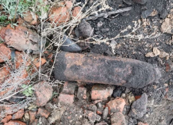 В Тамбовской области разминировали 2 снаряда времён Первой мировой войны