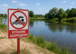 На семи пляжах Тамбова не советуют купаться